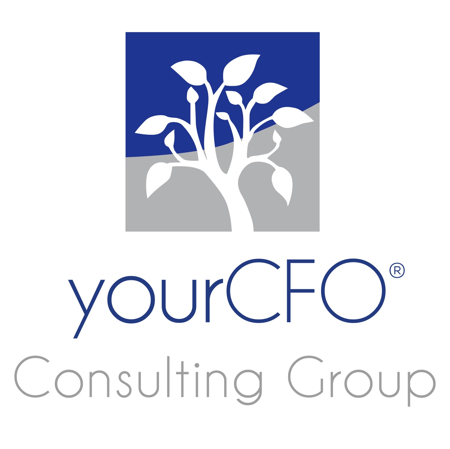 yourCFO: la prima società italiana di CFO Service